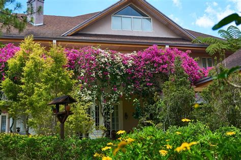 Frangeli House Baguio, Philippines Wedding, Events & Filming Venue.